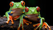 red eyed tree green frog , Generate AI