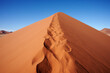 Sand dune in the Namib desert.