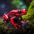 Dangerous poisoning red frog image Generative AI