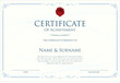certificate or diploma retro vintage design vector illustration