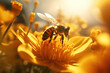A close-up of a bee pollinating a spring flower, with the bee's wings illuminated by the sun