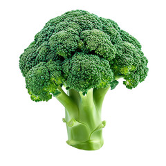 broccoli isolated on white background