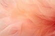 background of feathers and peach fluff