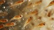 Closeup of a group of tiny brown tadpoles swimming in the murky waters of an urban pond their surroundings filled with the faint rumble of cars and motorcycles