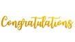 Golden Colored congratulations luxurious lettering 3d design