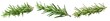 Collection of PNG. Rosemary isolated on a transparent background.