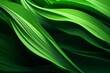 © Tarun - Graan abstract wallpaper with swirl pattern