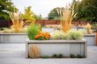 concrete raised beds filled with ornamental grasses
