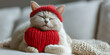 Weiße Katze, die ein großes rotes Valentinsherz hält