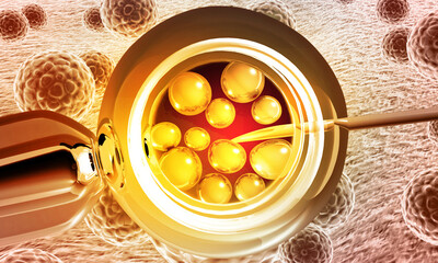 in vitro fertilization on scientific background. 3d illustration..