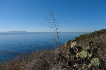 Wall Mural - Breathtaking scenic and landscape view of coastline of Rancho Palos Verdes with vegetation and cliffs and beautiful bays overlooking ocean and coast in California on sunny blue sky day