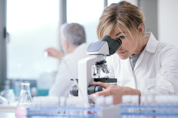 Wall Mural - medical researcher working in the lab