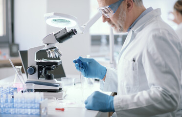Wall Mural - scientist working in the laboratory
