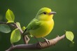 An American yellow warbler perched in the forest on generative AI 