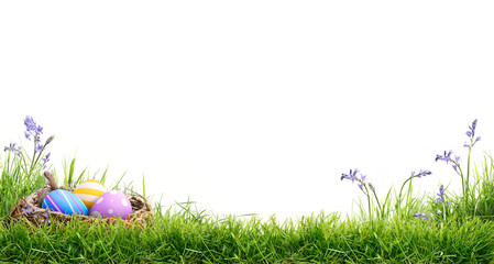 Wall Mural - A blank template of three painted easter eggs in a birds nest celebrating a Happy Easter on green grass and isolated on transparent background.	