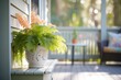sunlit porch with potted ferns and flowers