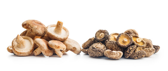 Wall Mural - Fresh and dried shiitake mushrooms isolated on white background.