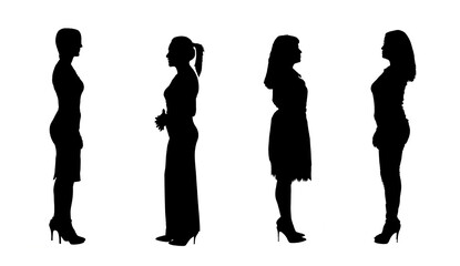 Wall Mural - silhouette of a group of women with high heels