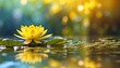 Yellow water lily reflected in water decoration with soft focus light and bokeh background
