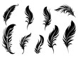 Set of detailed majestic feather collection. Bird Feather black silhouettes. Plumelet collection. Vector isolated on white