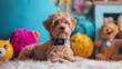 Hund in einem Kinderzimmer mit unscharfem Spielzeug im Hintergrund und Halsband mit GPS Tracker zur Ortung von Haustieren Generative AI