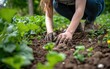 Gardening Zen: A woman digging in a garden plot, showcasing the simple pleasure of connecting with the earth and enjoying the meditative aspects of gardening