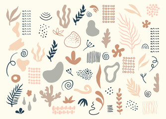 Modern hand drawn plant leaf and tropical shape decoration set. Pastel color doodle bundle for fashion design, summer season or natural concept.	
