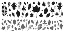 Silhouette Leaves Set Autumn Background ,isolated Vector Design Elements