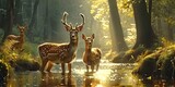 Fototapeta  - Nature wildlife scene with majestic brown deer in forest wild animals portrait in wilderness beautiful male stag with antlers standing alert in autumn landscape among pine trees and grass