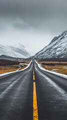 Wall Mural - road in the desert