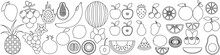 Fruits Icon Vector. Food Illustration Sign. Vitamins Symbol. Vegetarian Logo.