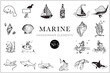 Handdrawn marine elements, Doodle nautical illustrations, Animals, Fish, Sea, Drawing, Illustration, Set, Collection, Ocean, Water