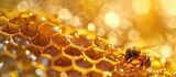 A queen bee cup with royal jelly in the wax comb of the honey bee Apis mellifera. Copy space image. Place for adding text