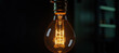 © Nindya - light bulb, lamp, dim 23
