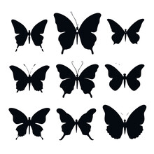 Butterfly Silhouette, Butterfly Svg, Butterfly Png, Butterfly Illustration, Butterfly Clipart, Butterfly, Insect, Wing, Nature, Animal, Fly, Beauty, Wings, Swallowtail, Yellow, Vector, Macro, Summer, 