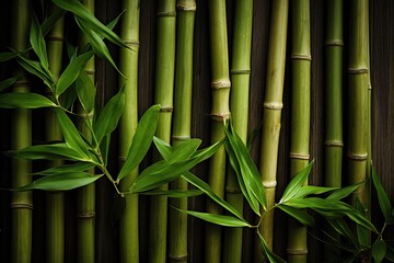  Beautiful bamboo trunks