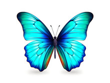 Close-up Of A Beautiful Butterfly From Above. The Butterfly Is A Combination Of Light Blue, Black, And A Hint Of Orange. Isolated Within A White-colored Background. Created With Generative AI.