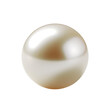© posterpalette - Realistic shiny natural sea pearl with light effects on transparent background