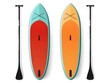 Paddle board isolated image, sport equipment, outdoor activity, product illustration, icon design. AI generated.
