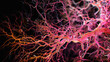 A high-resolution medical photograph capturing the intricate network of lymphatic vessels during a specific medical procedure, providing a visually detailed insight into the clinic