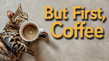 The Cat Lies In An Embrace With A Cup Of Coffee With Text In Yellow But First, Coffee, Banner
