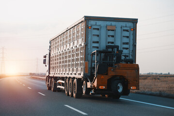 Wall Mural - Live Stock Cargo Truck With A Forklift. Livestock Secure Transportation. Animal Carrier Special Purpose Vehicle On A Highway	