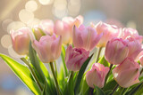Fototapeta Tulipany - A bouquet of flowers bathed in soft sunlight