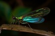 A striking insect with iridescent wings and a slender body. Generative AI