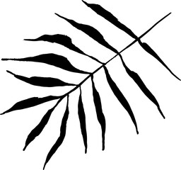 Artwork Brush Palm Leaves Silhouette