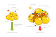 3D Isometric Flat  Conceptual Illustration of Adipoce Tissue, Pathology of Obesity