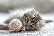 A fluffy, adorable kitten playing with a ball of yarn