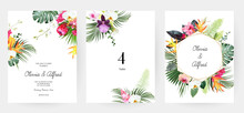 Tropical Flowers And Leaves Vector Design Cards. White Orchid, Strelitzia, Protea, Calla, Monstera, Jungle Palm Leaves