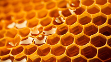 Macro Section Of Wax Honeycomb From A Bee Hive Filled With Raw Golden Honey. Background Texture And Pattern Of A Honeycomb, Close Up