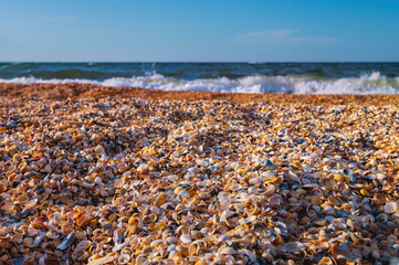 sea sand made from shells on a summer day. close-up of the beach and sea wave